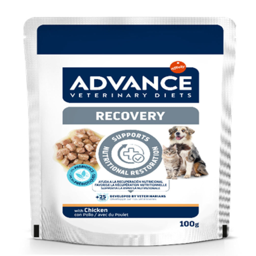 Advance Veterinary Diets Dog & Cat Wet Recovery