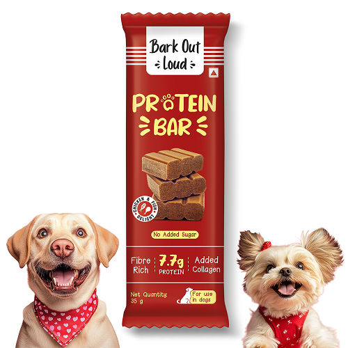 Bark Out Loud Collagen Protein Bar Chicken Fish Treat For Dogs