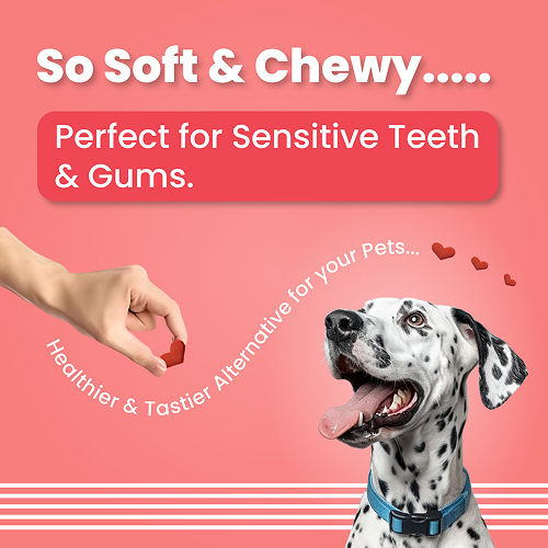 Bark Out Loud Valentine's Special Red Heart Dog Treat — in use