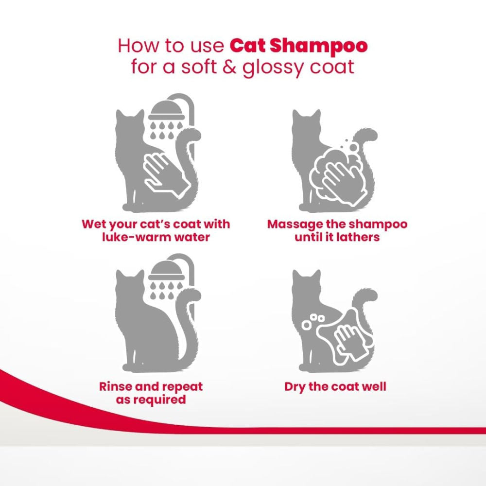 Beaphar Macadamia Oil & Aloe Vera Dryness & Itch Relief Shampoo for Cats — in use