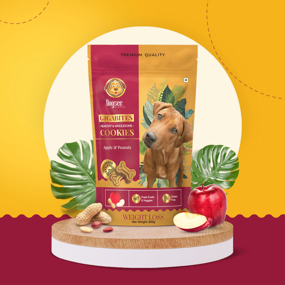 Dogsee Gigabites Apple And Peanut Dog Cookie Treats