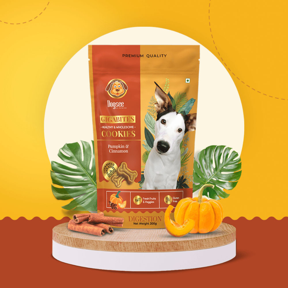 Dogsee Gigabites Pumpkin And Cinnamon Dog Cookie Treats