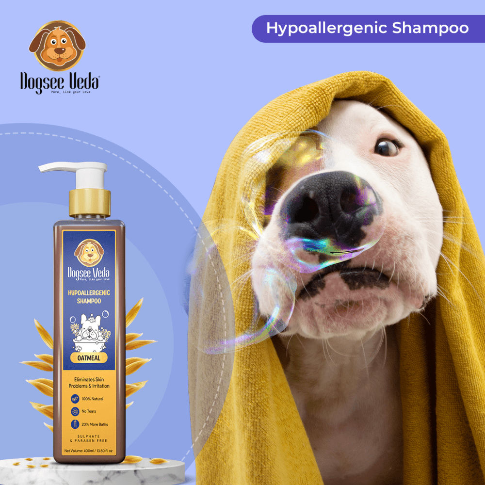 Dogsee Veda Hypoallergenic Oatmeal Shampoo for Dogs — in use