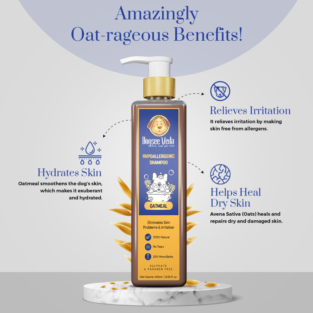 Dogsee Veda Hypoallergenic Oatmeal Shampoo for Dogs — in use