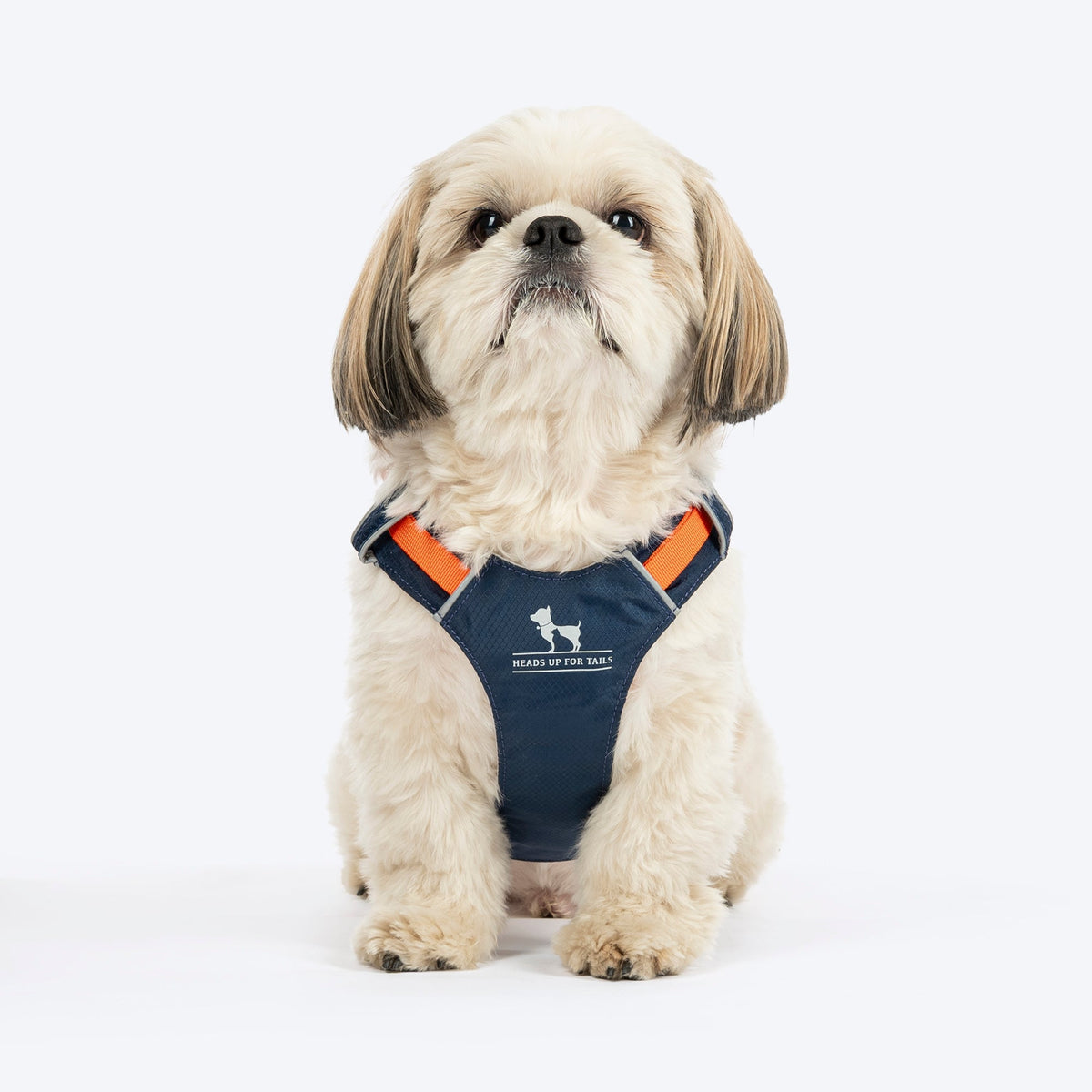 Huft Walkmate Pet Harness Navy
