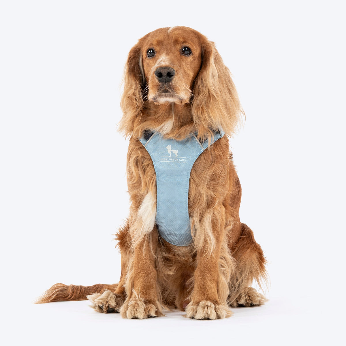 Huft Walkmate Pet Harness Slate Blue
