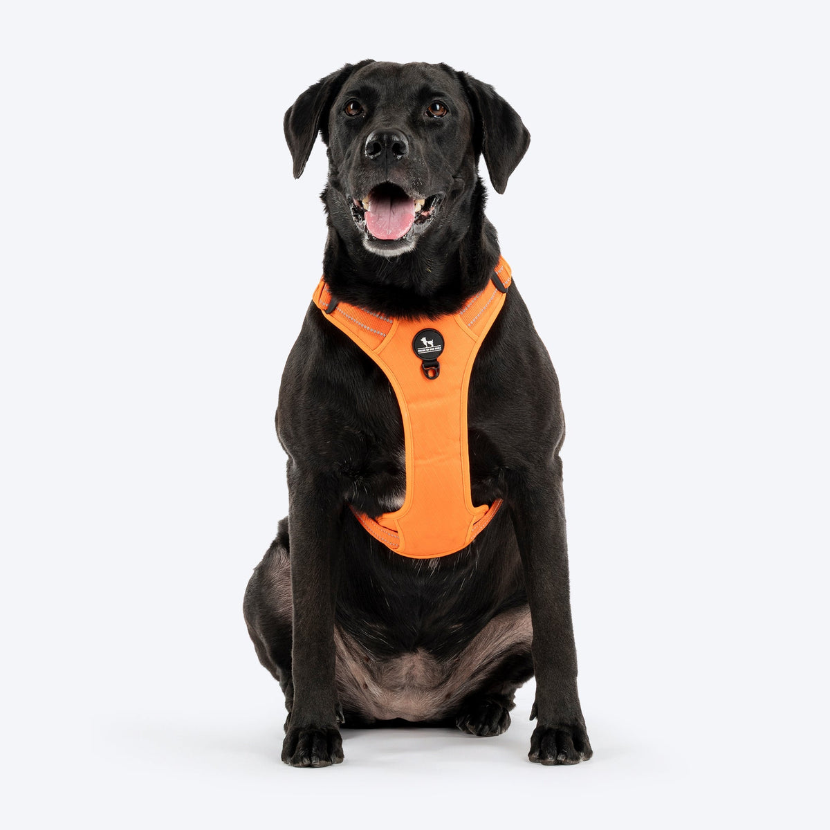 Huft Xplorers Harness For Dogs Orange
