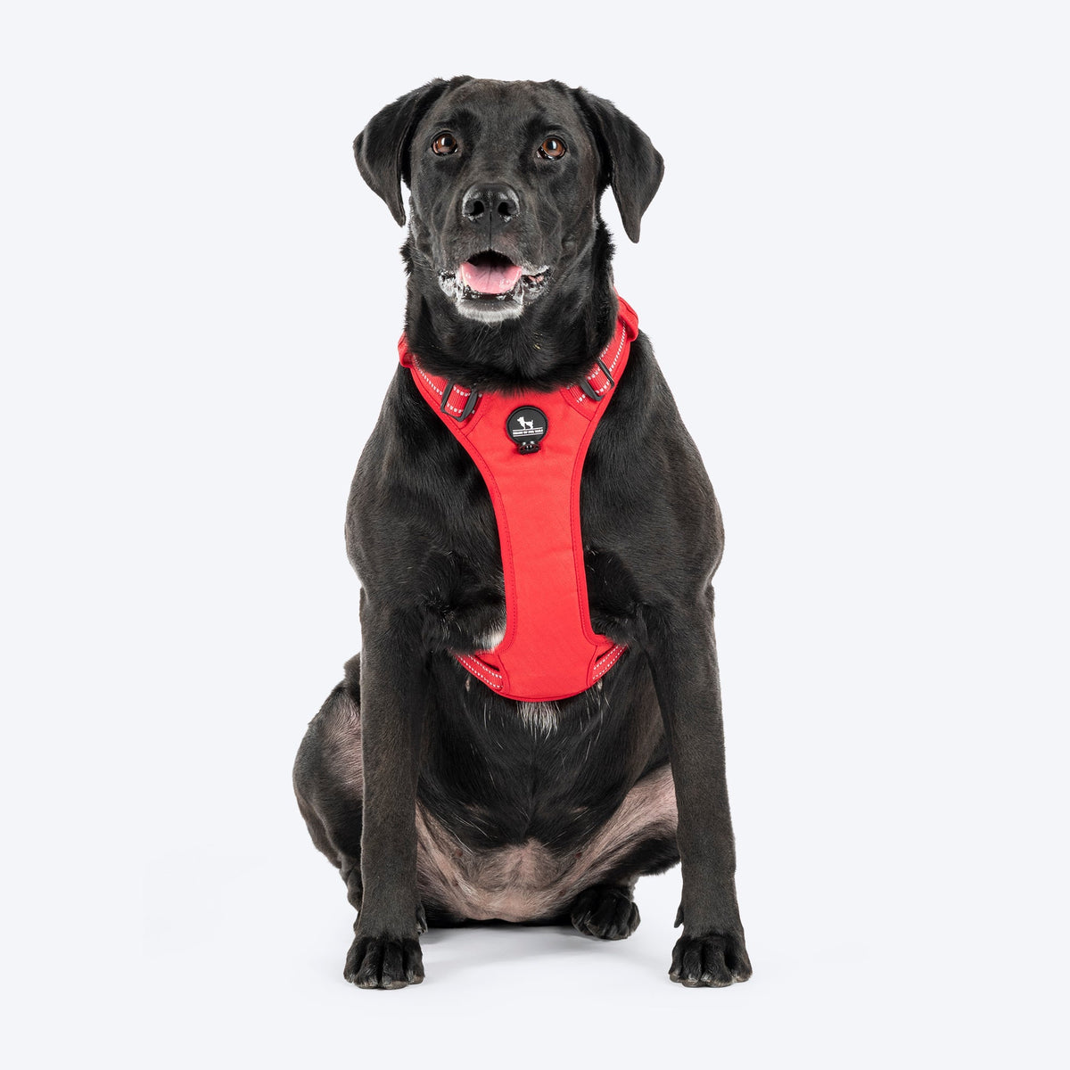 Huft Xplorers Harness For Dogs Red