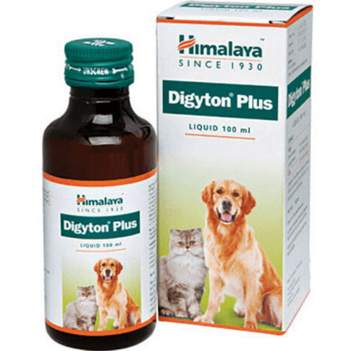Himalaya Digestive Stimulant Digyton Plus Syrup