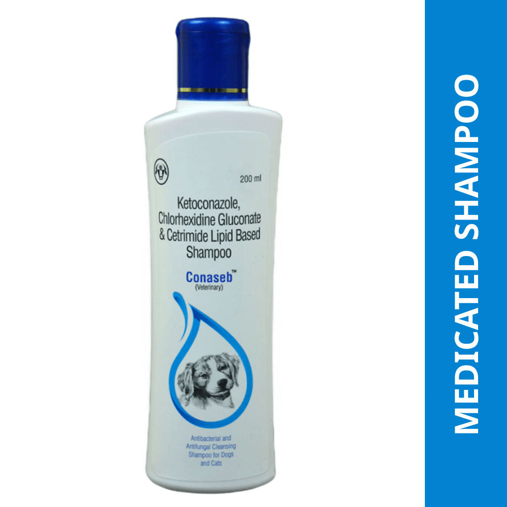 Intas Conaseb Shampoo