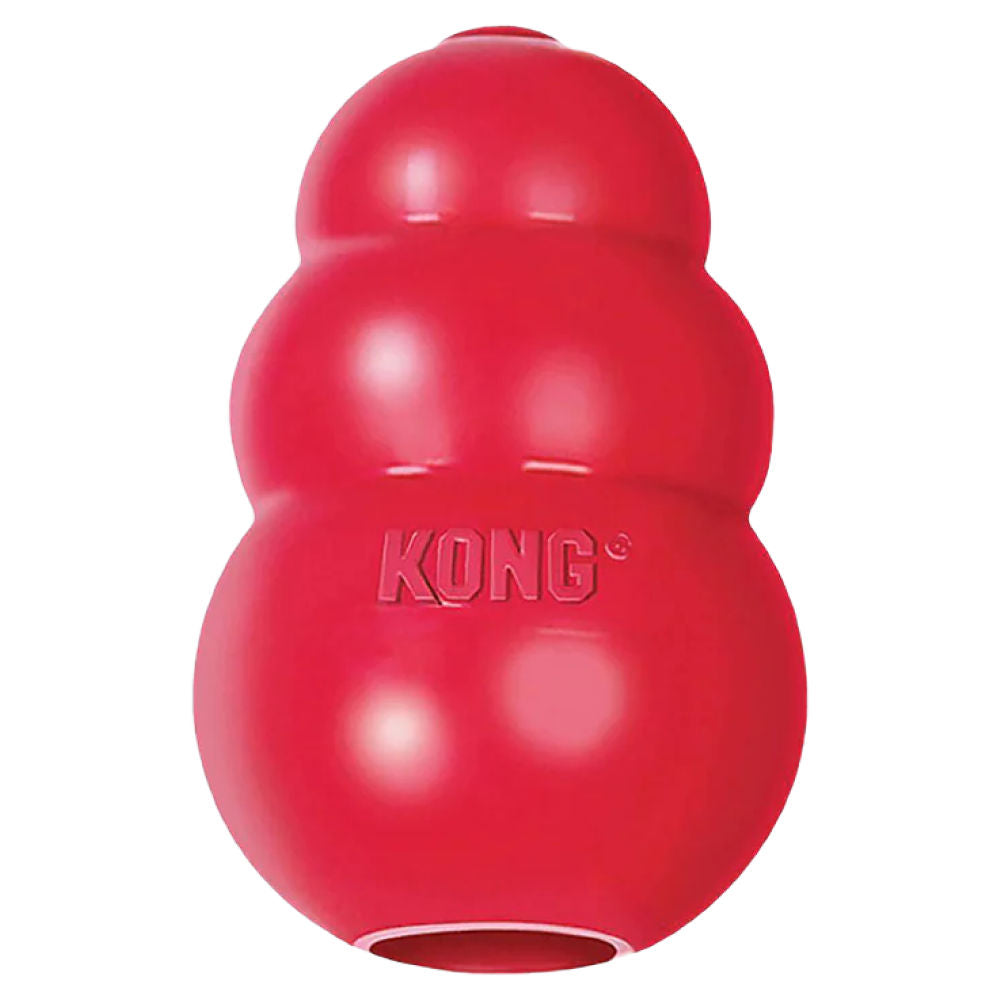 Kong Classic Toy for Dogs (Red) | For Average Chewers — in use