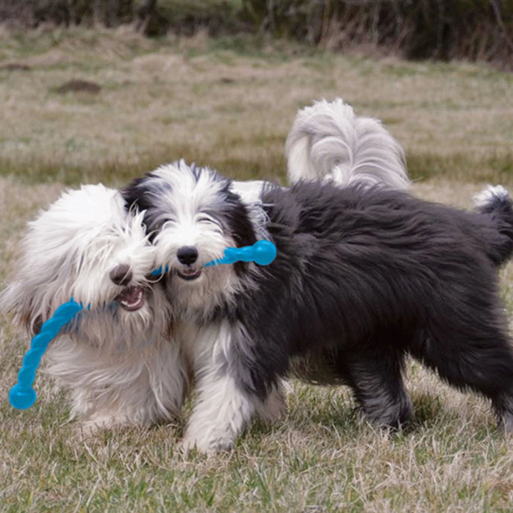 Kong Safestix Rope Toy for Dogs — side view