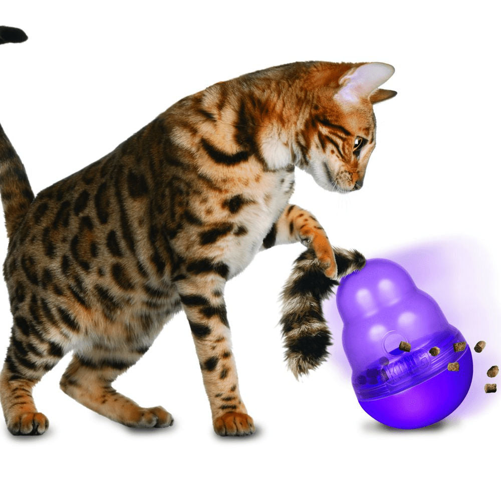 Kong Wobbler Toy for Cats — detail shot