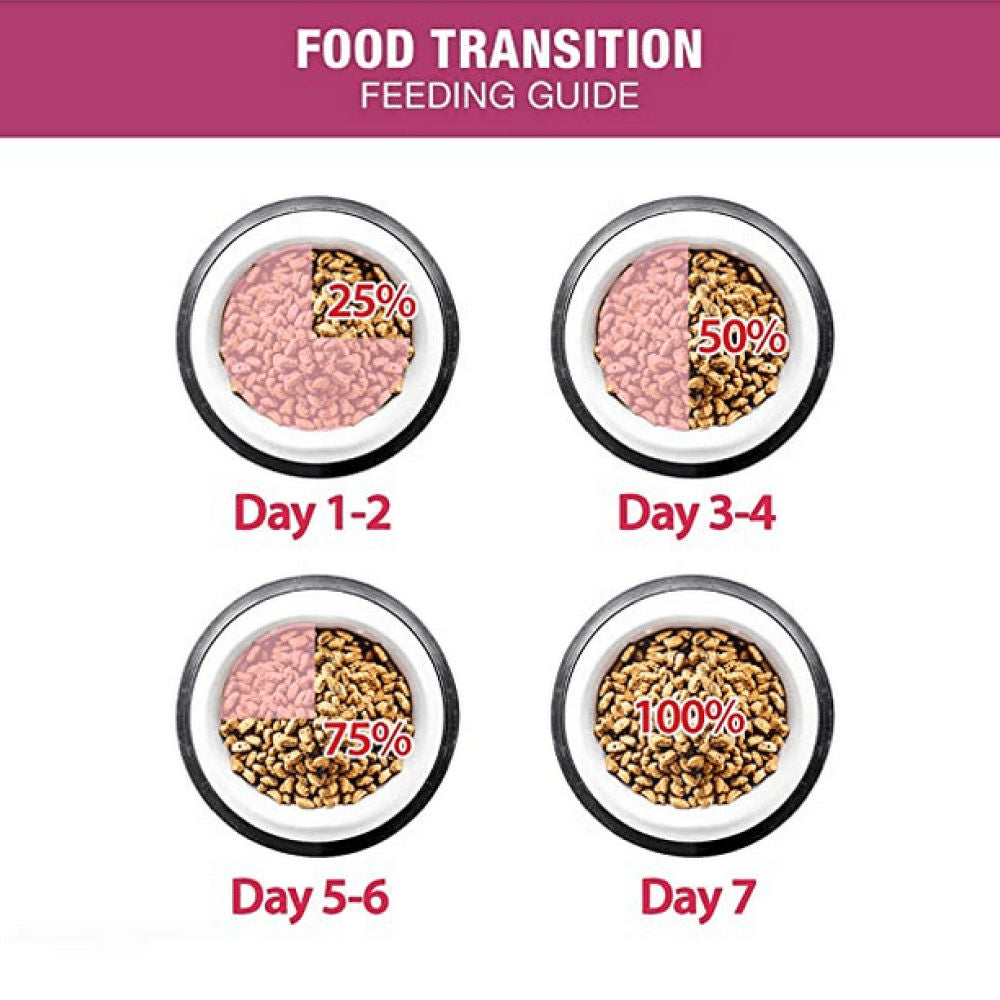 Me O Adult Persian Cat Dry Food — in use
