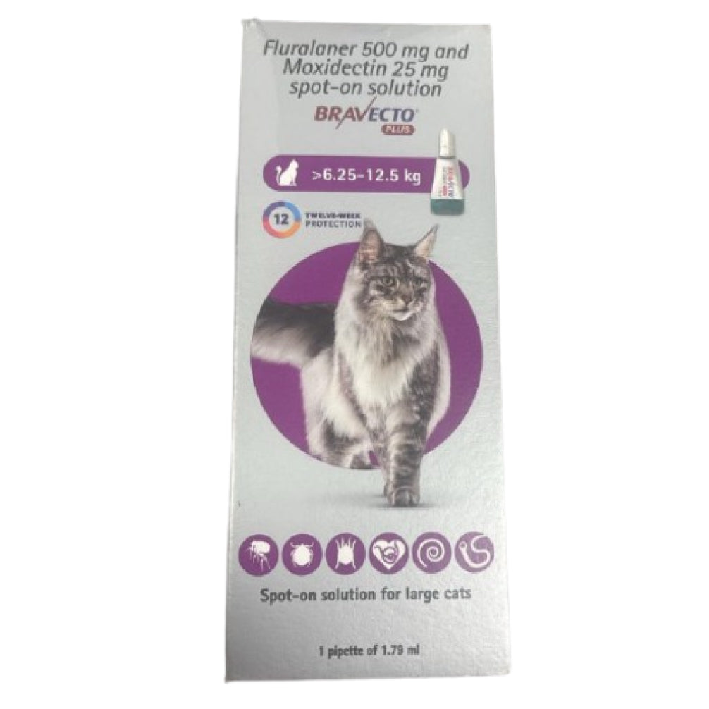 MSD Animal Health Bravecto 500mg (Fluralaner) Spot On for Large Cats (1 tube)