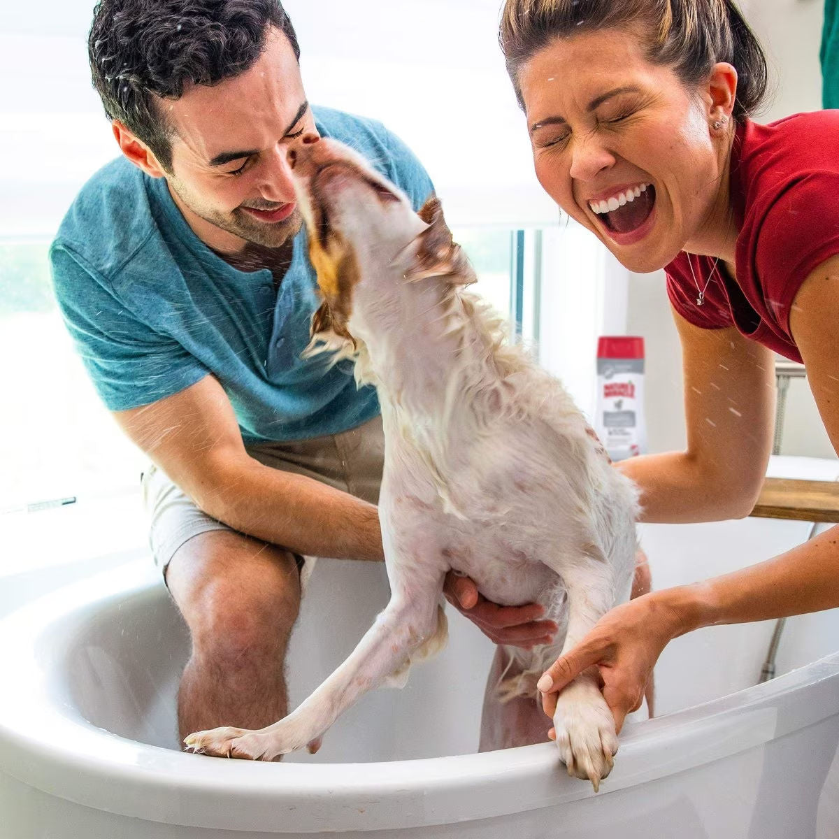 Nature's Miracle Hypoallergenic Shampoo and Conditioner for Dogs — in use