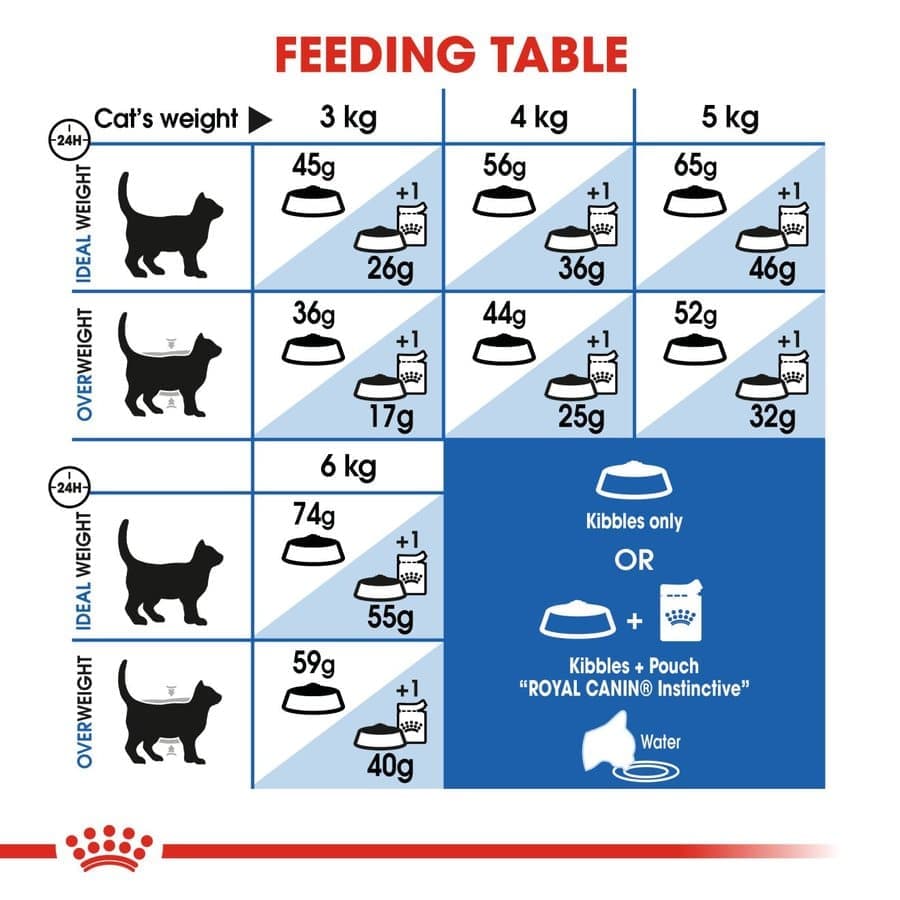 Royal Canin Adult Complete Fhn Indoor Dry Cat Food Bgb - Image 5