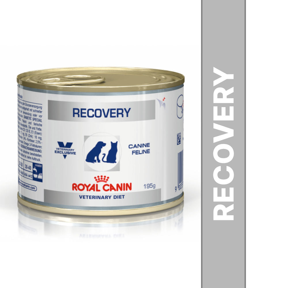 Royal Canin Recovery Canned Wet Dog Cat Food
