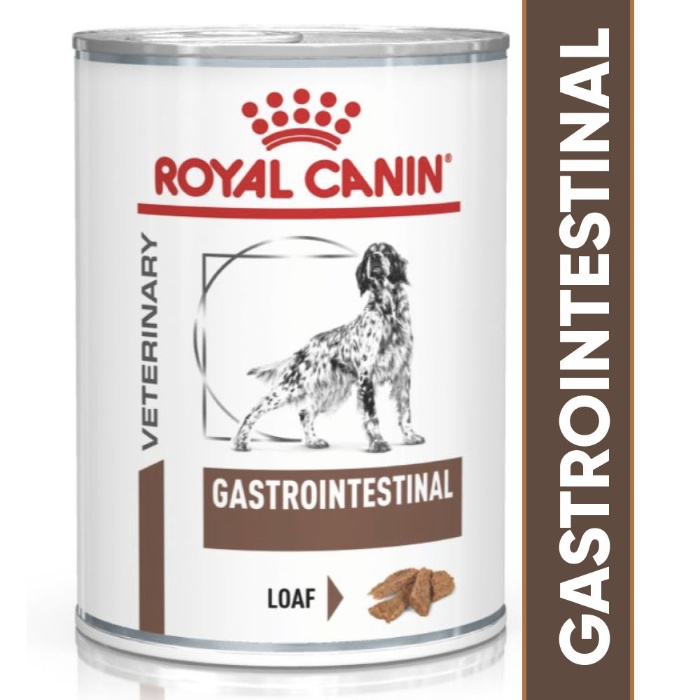 Royal Canin Veterinary Diet Gastrointestinal Dog Wet Food Bgb