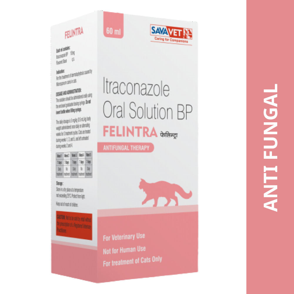 Savavet Felintra Oral Solution Cat