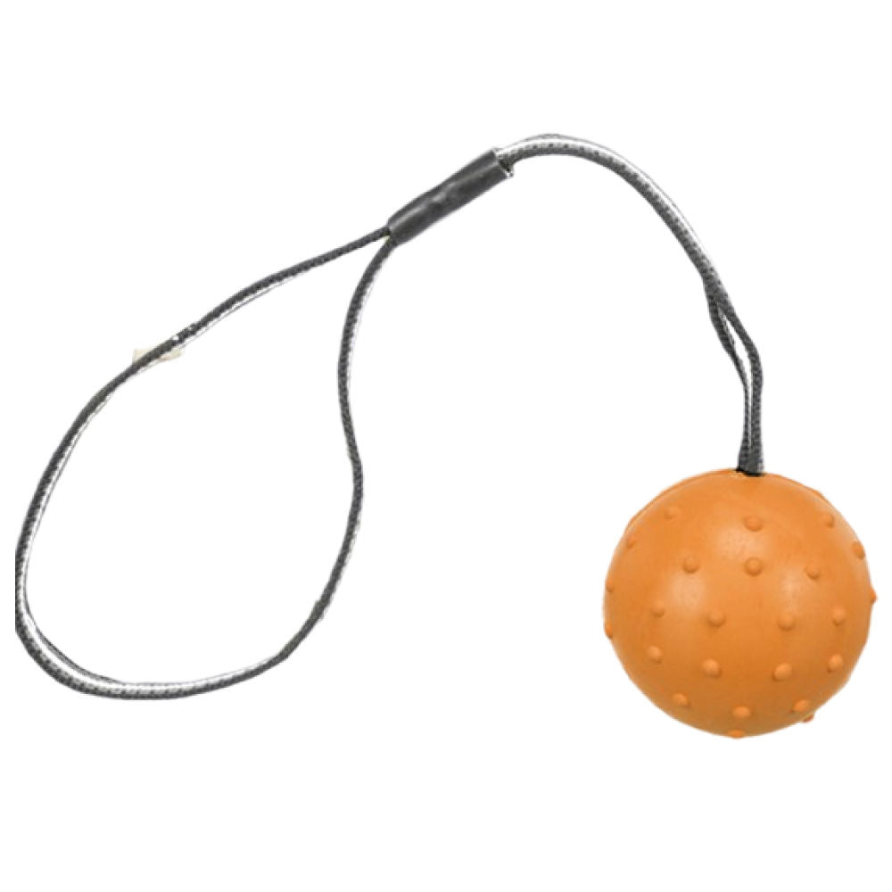 Trixie Ball On A Strap Toy For Dogs Orange
