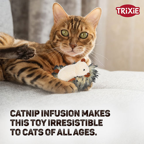 Trixie Hedgehog Catnip Toy for Cats — in use