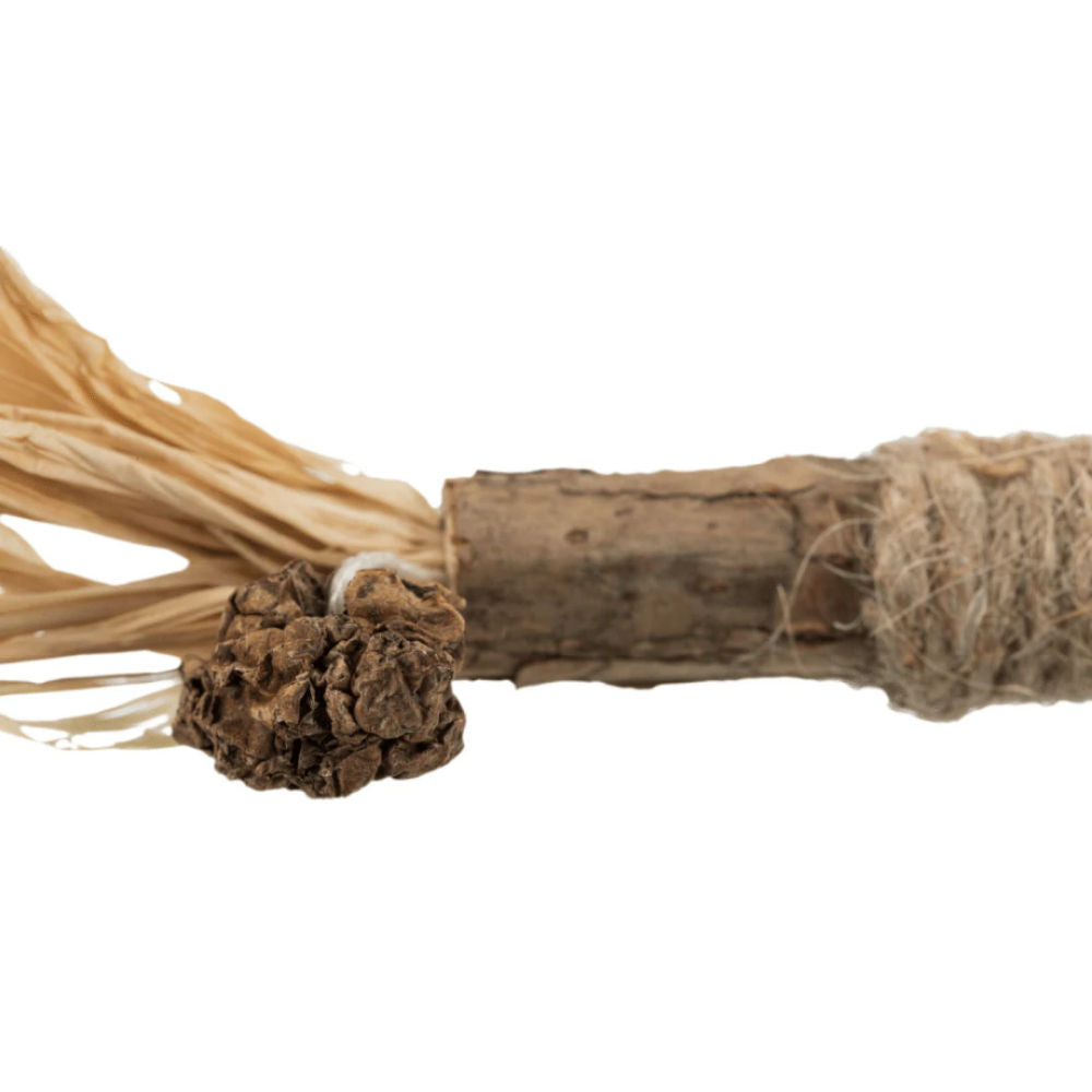 Trixie Matatabi Stick with Tassels Toy for Cats — in use