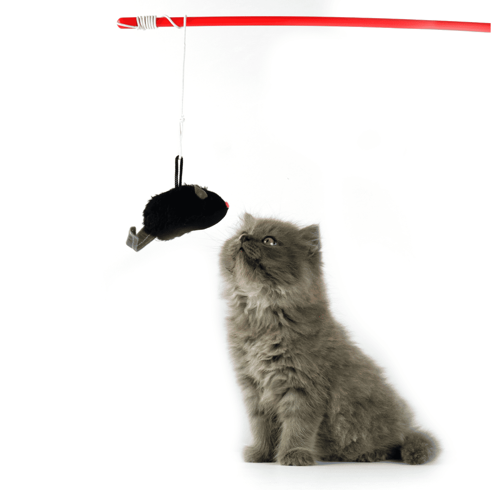 Trixie Squeaky Playing Rod Toy for Cats — detail shot