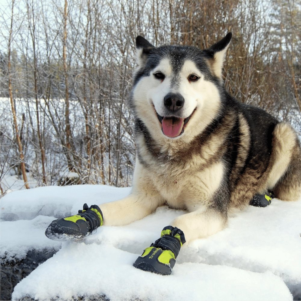 Truelove Pet Boots For Dogs Red Set Of 4 Copy - Image 2