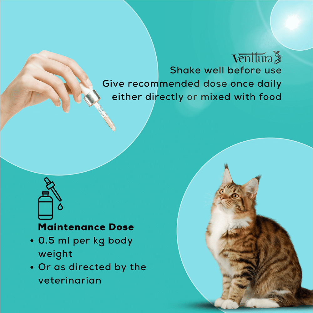 Venttura Amino Acids & Vitamin Supplement for Cats — in use