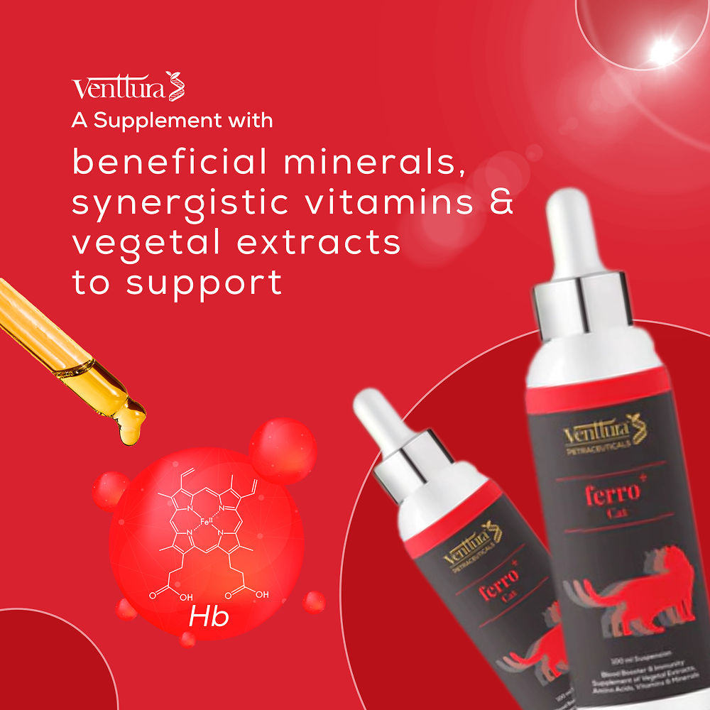 Venttura Ferro Blood Booster & Immunity Supplement for Cats — in use