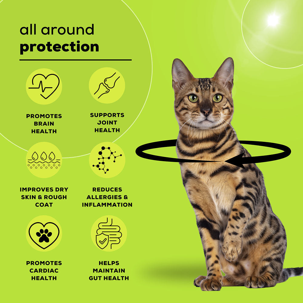 Venttura Healthy Skin & Glowing Coat Omega Fatty Acid Supplement for Cats — in use
