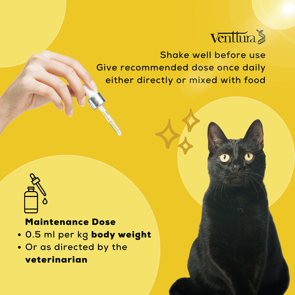 Venttura Liver Repair, Support Recovery & Recuperation Supplement for Cats — in use