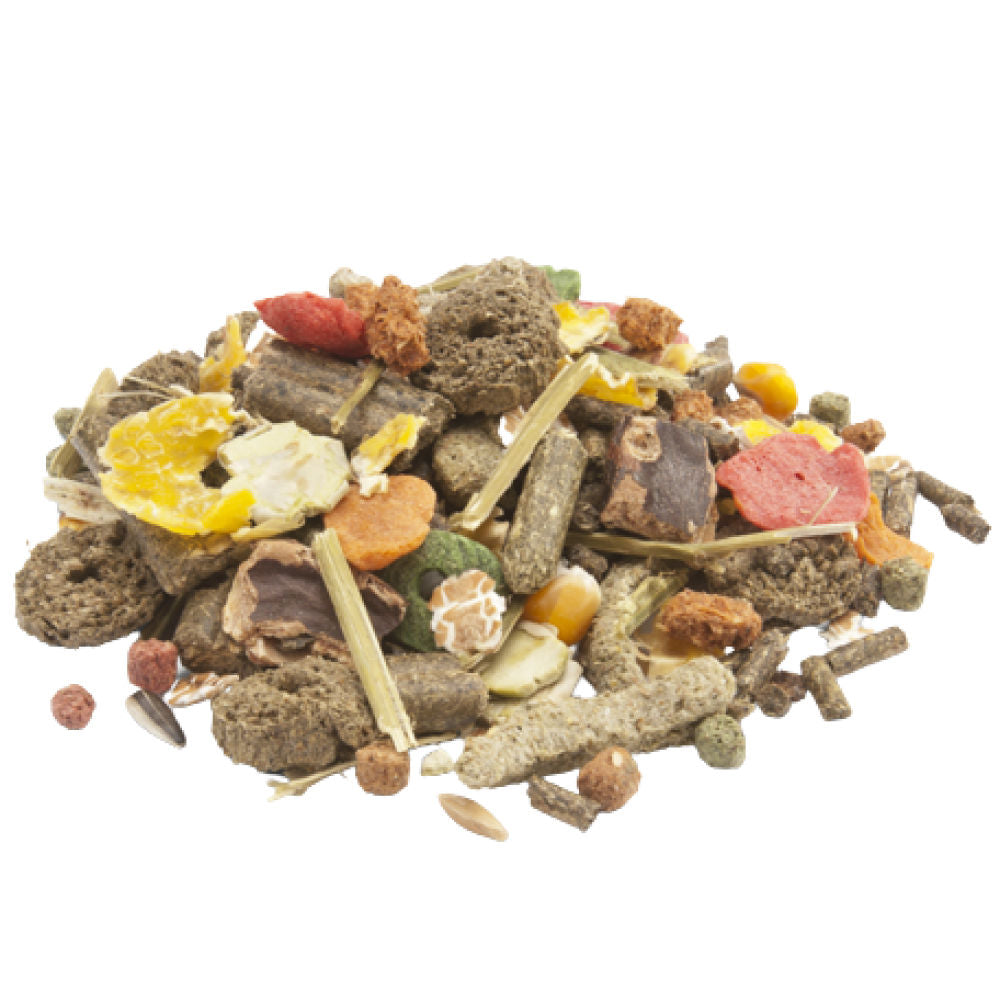 Versele Laga Crispy Muesli Food For Rabbits — back view