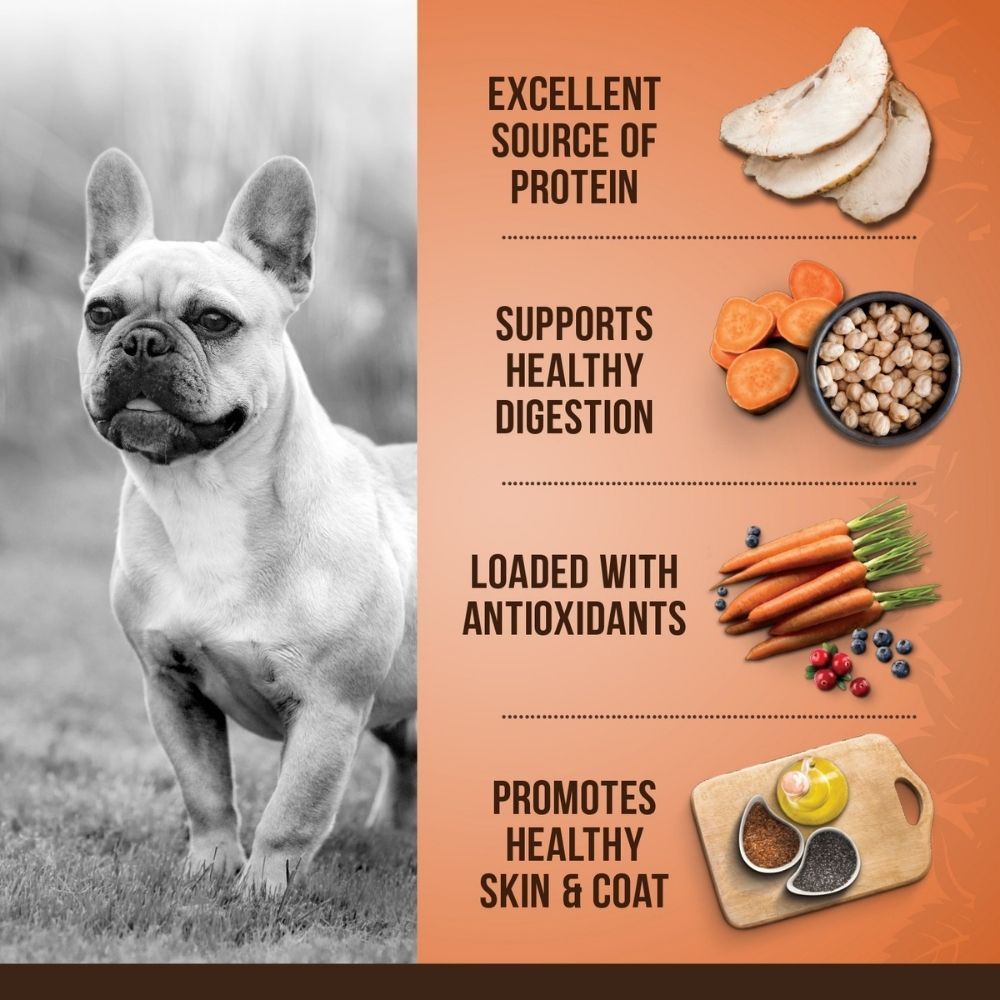 Zoe Turkey and Sweet Potato Small Breed Adult Dog Dry Food — detail shot