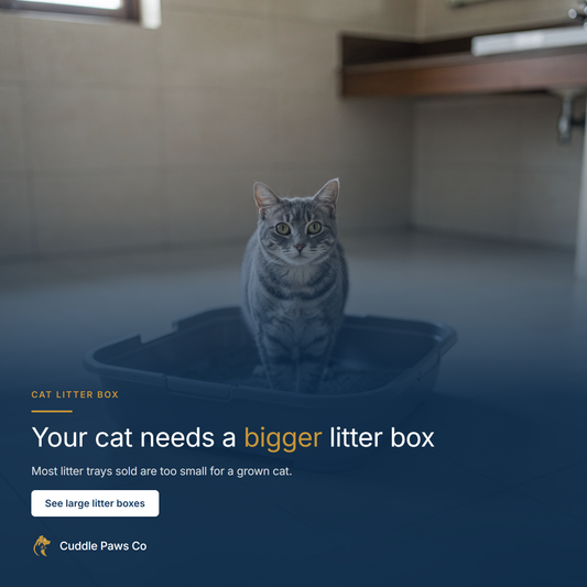 A grey tabby cat standing inside a large open plastic litter tray on a tiled bathroom floor, looking towards the camera.