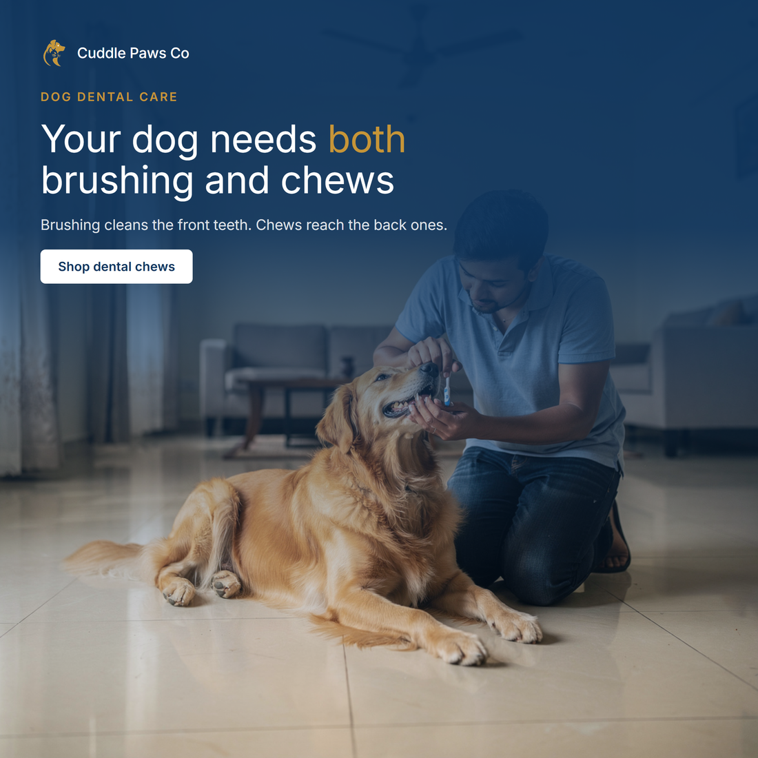 A person kneeling beside a golden retriever indoors, lifting the dog's lip and brushing its side teeth with a small toothbrush while the dog stays still.