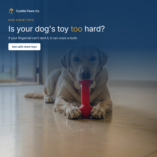 A labrador lying on a tiled floor indoors, holding a red rubber toy between its front paws and chewing on it.