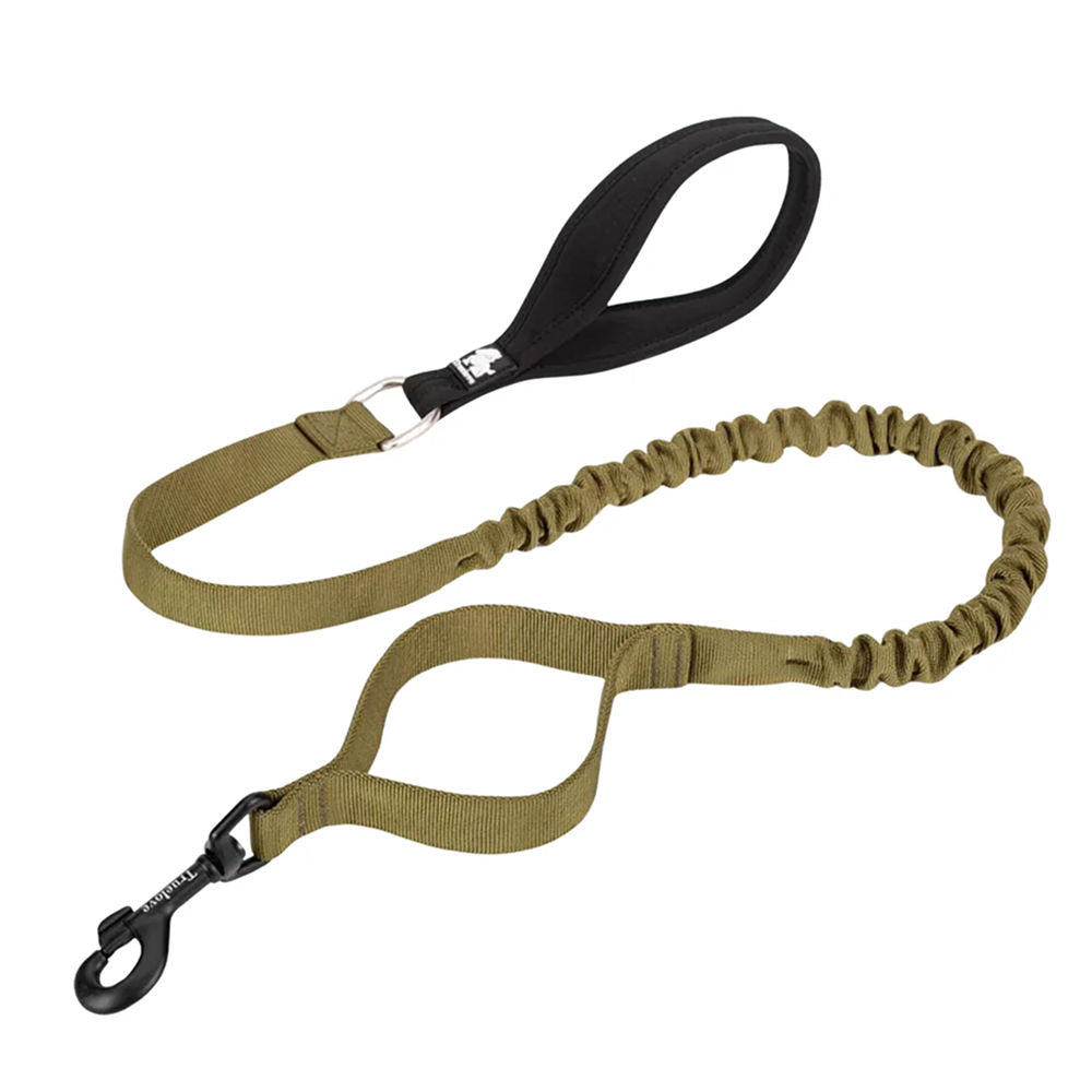 Premium hand-stitched leather dog leash