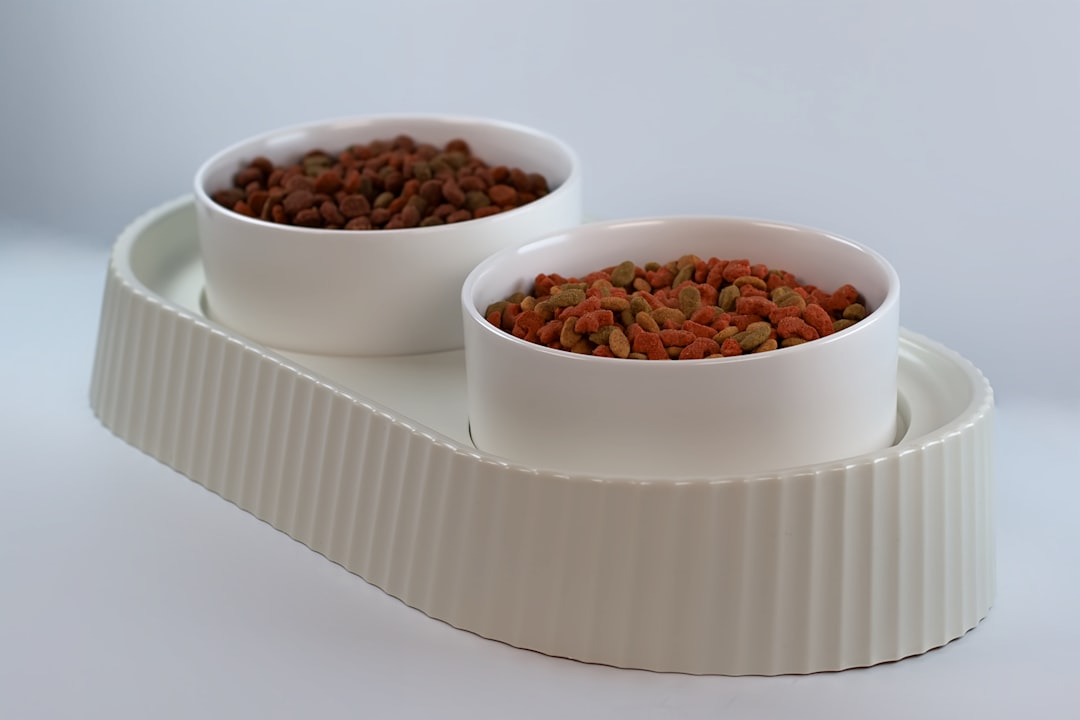 Elevated dog feeder with stainless bowls