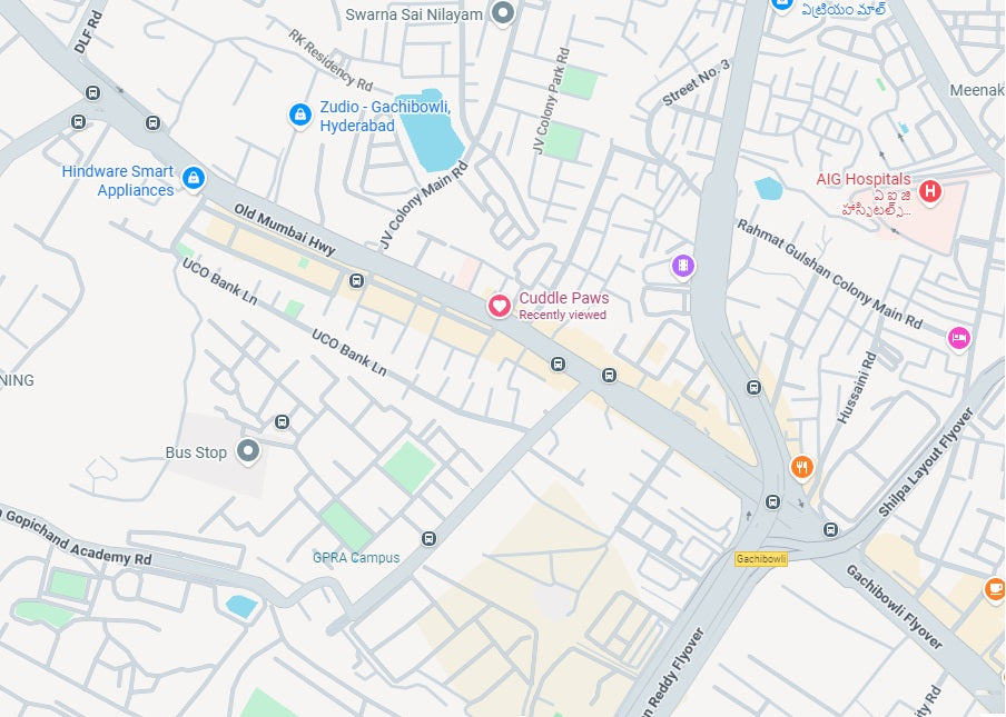 cuddle paws location
