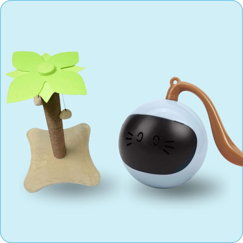 Cat Toys