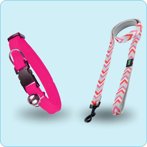 Collars & Leashes