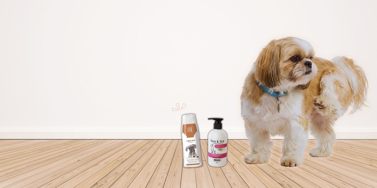 Tick and flea treatments for dogs and cats at Cuddle Paws Co, Hyderabad