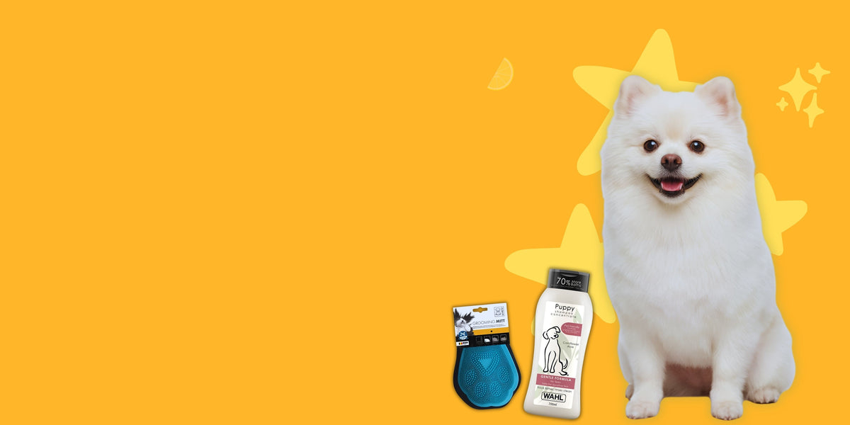 Dog grooming from ₹499 at Cuddle Paws Co, West Side Mall, Gachibowli