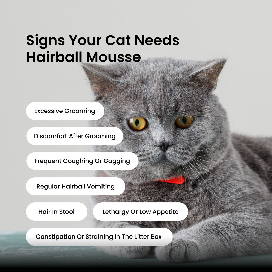 Absolut Pet Hair Ball Relief Cat Supplement - Image 3
