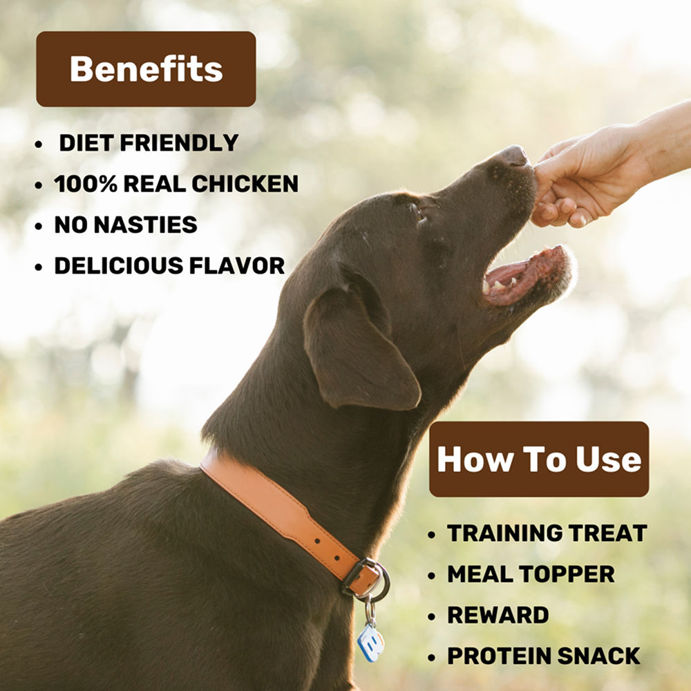 Absolut Pet High Protein Low Fat Chicken Jerky Treats For Dogs - Image 3