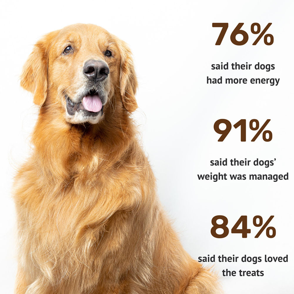 Absolut Pet High Protein Low Fat Chicken Jerky Treats For Dogs - Image 4