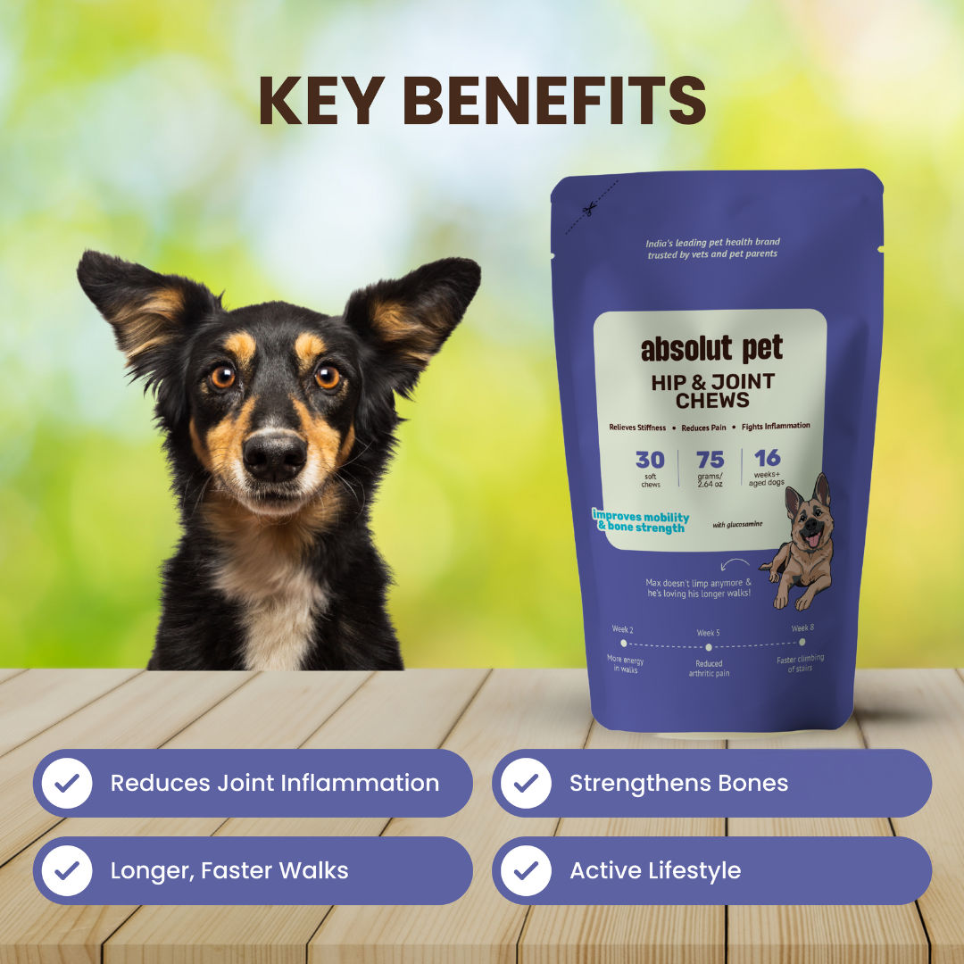 Absolut Pet Hip And Joint Dog Supplement - Image 2