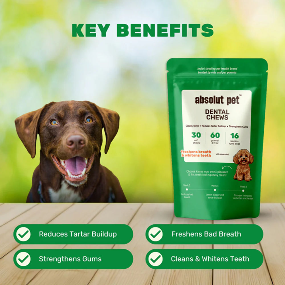 Absolut Pet Oral Care Plaque Tartar Remover Dog Supplement - Image 2